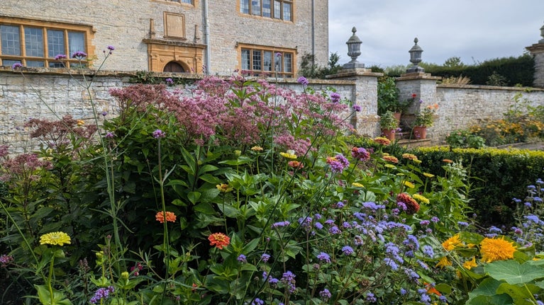 A vibrant garden border, set against a stone wall, with flowers in lots of colours